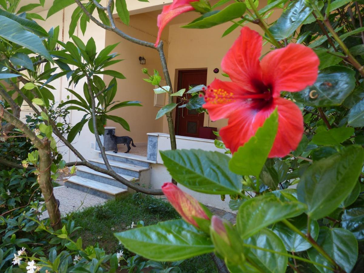 Avgi Garden House Chania With Private Entrance Eksteriør bilde