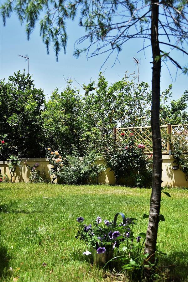 Avgi Garden House Chania With Private Entrance Eksteriør bilde